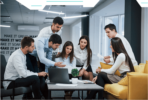 Expert Team
